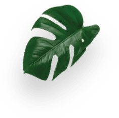 GRANDE - Loyalty Pack decoration Image